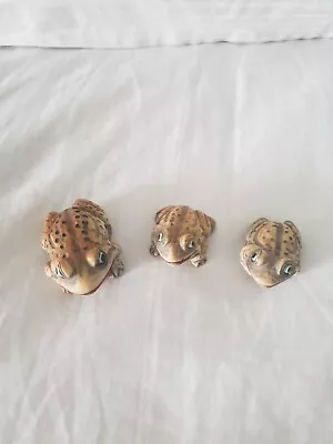Buy Toad Family Ornaments. Well Loved But Still In Good Condition. • 5£