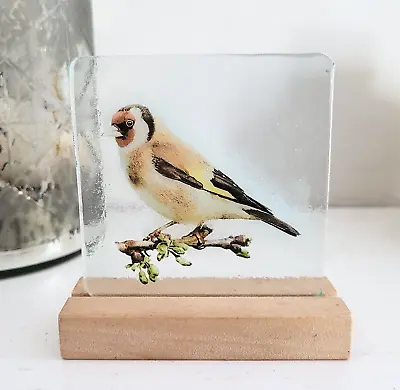 Buy Stained Glass Goldfinch Bird Suncatcher Stain Glass Gift Decoration Window Birds • 25£