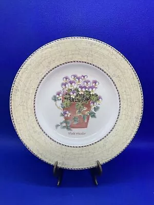 Buy Wedgwood Sarah's Garden Viola Tricolor 8  Plate England 1997 Collectors Choice • 17.08£