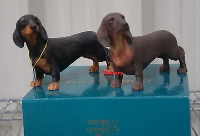 Buy 15cm Black Dachshund Dog Brown Daschund Ornament Figure Gift New In Box  • 12.50£