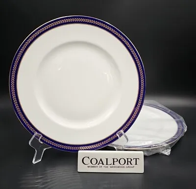 Buy Coalport Bone China BLUE WHEAT Set(s) 2 Dinner Plates MINT UNUSED • 94.72£