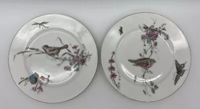 Buy Martial Redon Limoges 8 1/2  Set Of 2 Hand Painted Transferware Bird Plates • 34.74£