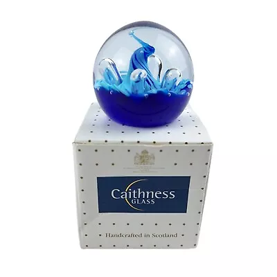 Buy Caithness Paperweight Miniature Moonflower Collectable Blue Boxed 1999 • 15£