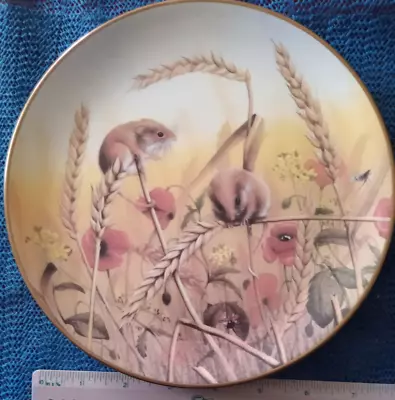 Buy SPODE Bone China The Wildlife Series No. 6 Field Mouse 8  Collector Plate • 2.49£