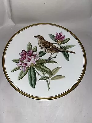 Buy Beautiful Bone China Plate - Garden Birds By Spode - No. 5 The Mistle Thrush • 9.99£