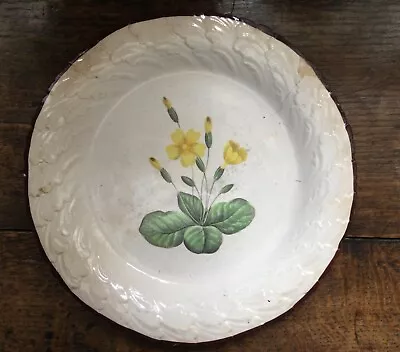 Buy Antique Davenport Creamware Botanical Plate C1810 • 15£