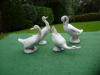 Buy Vintage Lladro/Nao Geese Figurines - Various Poses • 6£