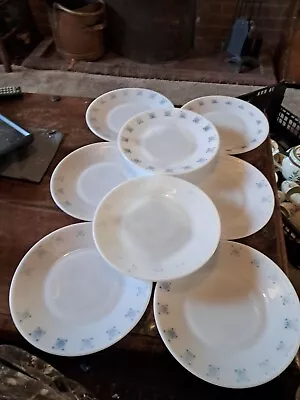 Buy 8 X JAJ Pyrex Chelsea Salad Plates 8.5  Wide  Vintage Well Worn Condition  • 4.99£