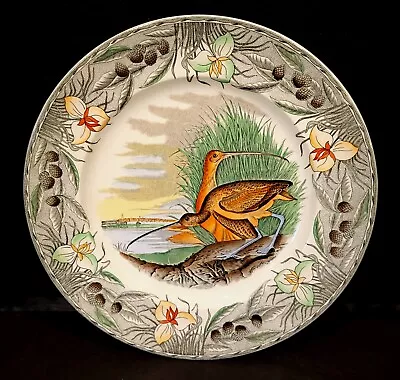 Buy The Birds Of America Adams China Large Curlew Dinner Decorative Plate • 86.31£