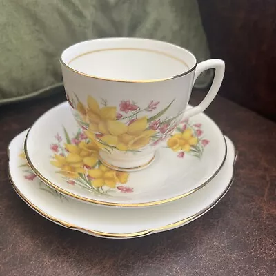 Buy Duchess Bone China - Daffodil Tea Trio - Tea Cup, Saucer & Tea Plate - VGC • 14.99£