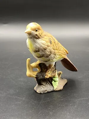 Buy Mistle Thrush Bird Ornament Figurine • 6.70£