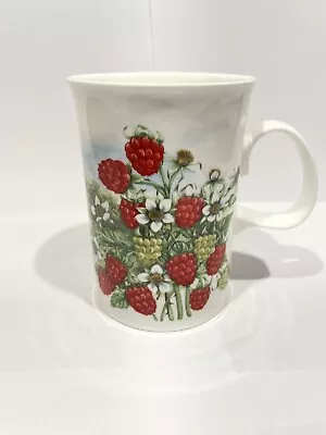 Buy Dunoon Fine Bone China Raspberry Mug Jane Fern Hedgerow Series • 8.50£