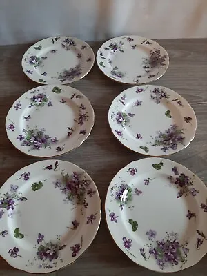 Buy 6 Hammersley Victorian Violets 7  Salad Plate Bone China Gold Trim Spode England • 66.01£