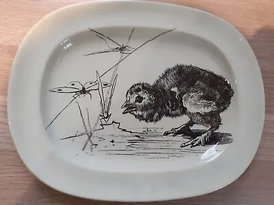 Buy Antique Minton Plate With Chick And Dragonfly Design • 20£