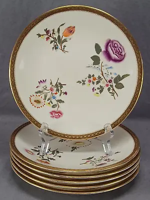 Buy Set Of 6 Royal Worcester W/773 Hand Painted Floral Ivory Gold 9 1/8 Inch Plates • 197.57£
