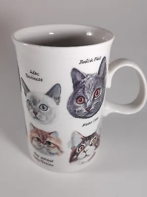 Buy Dunoon Cats Stoneware Mug Scotland Designed By Ray Hutchins • 14.99£