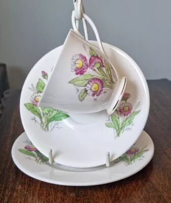 Buy 1950s Royal Albert Flower Of The Month Trio - Cup, Saucer Plate No 4 April Daisy • 38£