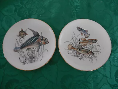Buy A Pair Of Lord Nelson Ware Fish Design Plates Made In England • 11.50£