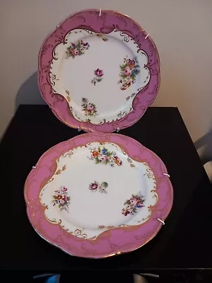 Buy Coalport Pink & Gold Cabimet Plates Hand Painted X 2 • 20£