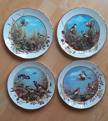 Buy 4 Royal Doulton 'Seasons Of The Hedgerow' Plates. Ltd Edition By Mark Chester • 18£