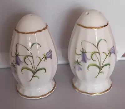 Buy Vintage Spode China-England-'Campanula' Salt And Pepper Shakers 7.5cm Pre-owned • 25£