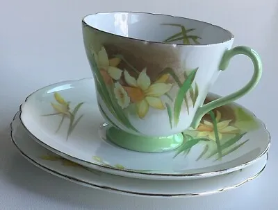Buy Shelley Daffodil Richmond Jonquil 13677 Cup Saucer Plate Trio C1925- C1940 - VGC • 21£