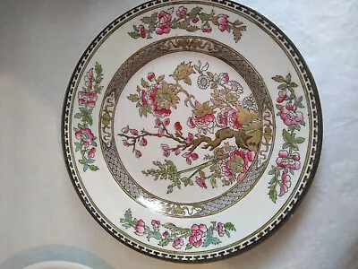 Buy HANCOCK AND SON INDIAN TREE ANTIQUE VICTORIAN PLATE  PATTERN 6755A   26cm • 18£