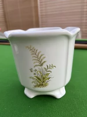 Buy Royal Victoria Pottery WADE Vintage Fern Pattern White Ceramic Flower Pot • 17.50£