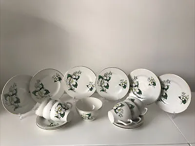 Buy Vintage Tea Set/Trios For 6 - Alpine White Flowers By Wood & Sons England • 29.95£