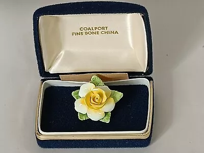 Buy Coalport Fine Bone China Daffodil Brooch - Boxed • 1.99£