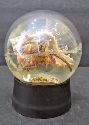 Buy VINTAGE Iminac Nature Gems  Hermit Crab  Clear Glass Paperweight W/ Black Base • 9.49£