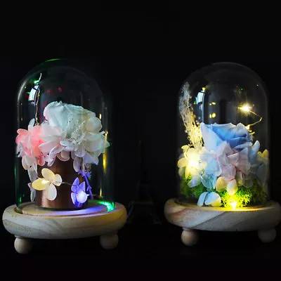 Buy Clear Glass Cloche Bell Jar Flower Vase LED Lighting Dome Display & Wooden Base • 12.95£