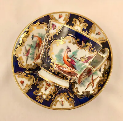 Buy Antique Coalport Coffee Cup & Saucer, Exotic Birds & Insects, C 1810 • 281.20£