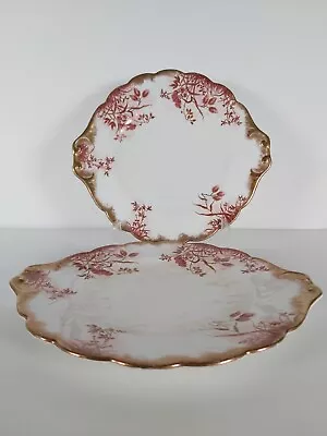 Buy Two Rare Antique Crown Staffordshire Richly Gilded Plates • 39£