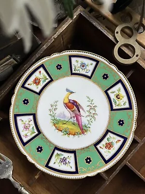 Buy Fine Antique Spode Copeland’s Chelsea Bird Cabinet Plate T Goode 1890s RARE #6🦜 • 35£