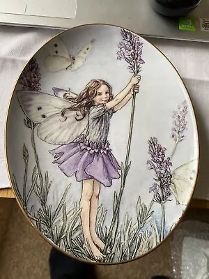 Buy Royal Worcester - The Lavender Fairy - Oval Collectors Plate • 4£
