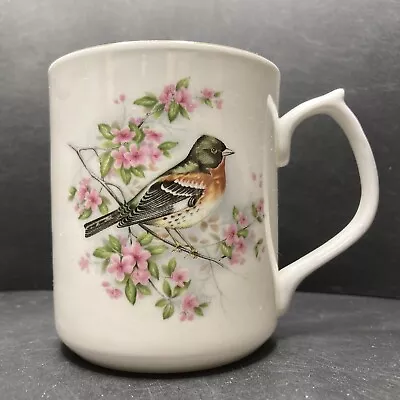Buy Vintage Jason Bullfinch Bird Fine Bone China Mug Made In England • 19.95£