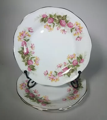 Buy 3x Queen's Rosina China Woman And Home Cake Side Bread Plates • 12.90£
