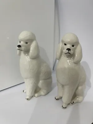 Buy Lomonosov USSR White Porcelain Poodles Dog Sitting Figurine • 27£