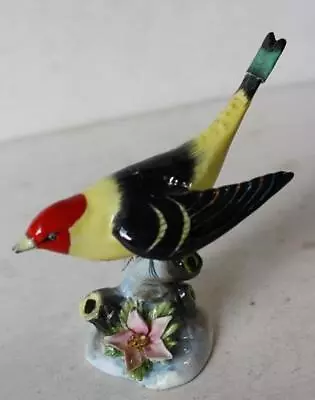 Buy Tanager Bird Figurine Royal Adderley Bone China Made In England 3D Flower MISFIT • 8.57£