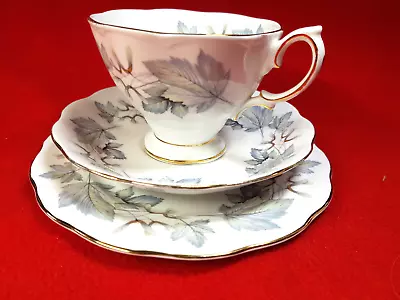 Buy Royal Albert - SILVER MAPLE : China - TRIO Cup, Saucer & Teaplate : Ex Condition • 5.75£