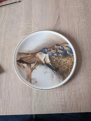 Buy Crown Staffordshire THE SWALLOW Collectors Plate Beautiful • 8£