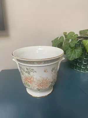 Buy St. Michael Chrysanthemum  Ceramic Planter Flower Pot  • 14.99£