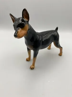 Buy John Beswick Unique Hand Painted Mini Pinscher Dog • 39.99£