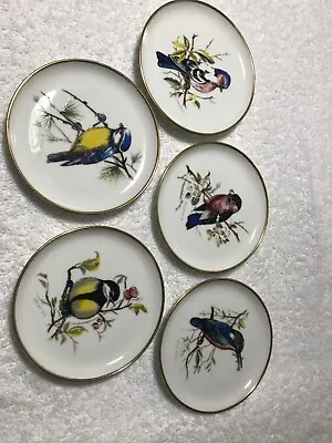 Buy Set Of {5} 4 Inch Porcelain Bird Plates Kaiser W. Germany • 19.24£