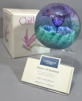 Buy Caithness 'FLOWER IN SCOTLAND  Paperweight Original Box Stand & Card 1994 • 39.99£