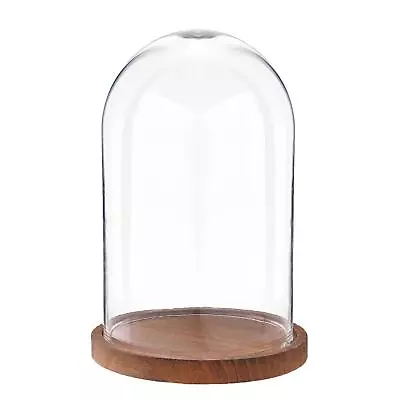 Buy 25cm Glass Display Bell Jar Round Cloche On Dark Wood Base Display Stand • 24.99£