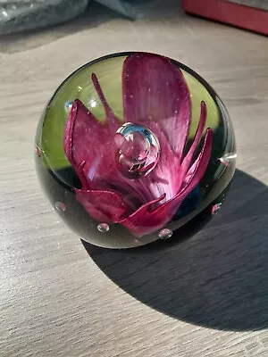 Buy Caithness Glass Paperweight Flower • 8£