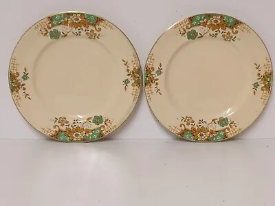 Buy A Pair Of Johnson Bros. Victorian Series  Branksome  Pattern 17.5cm Plates • 10£