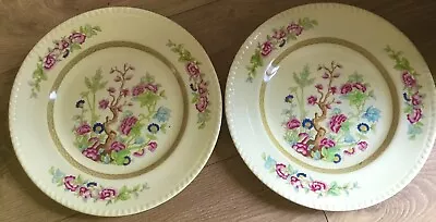 Buy 2 Lovely Vintage 10” Floral Swinnertons “Harvest” Dinner Plates Good Condition. • 3.80£